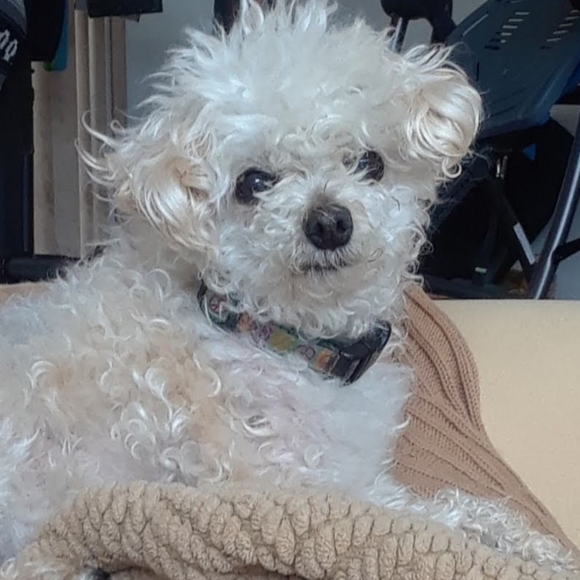 Meet your Posher, Ryan - Picture 3 of 3